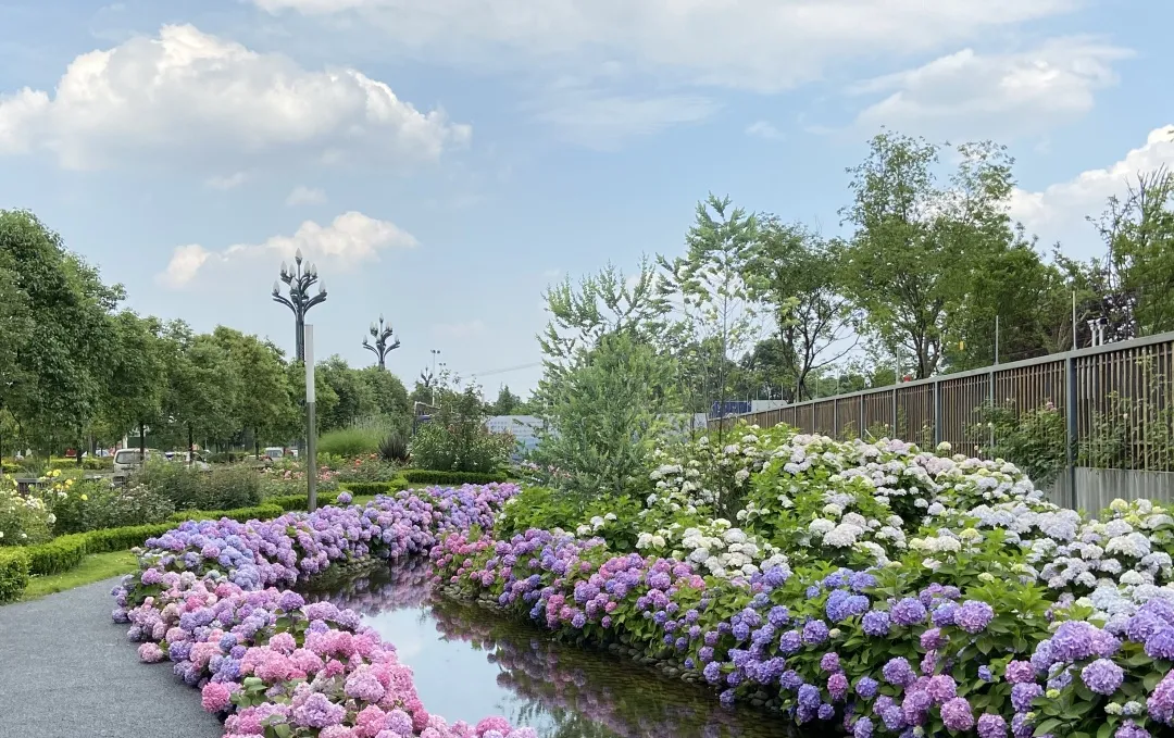 都江堰万汇学校2021年招小一180人，初一100人