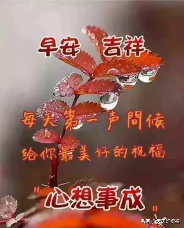 立秋后早晨好问候语录大全，立秋后早安暖心祝福语