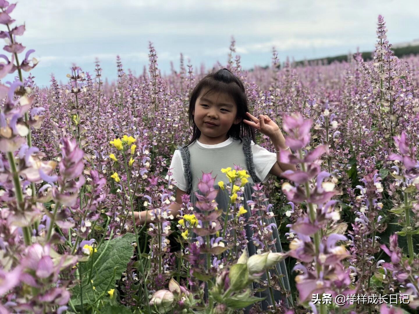 一家三口自驾去新疆，环南北疆27天15000公里，吃住行玩详细攻略