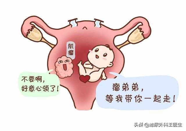 性插图片(女人切除子宫) - 赤虎壹号
