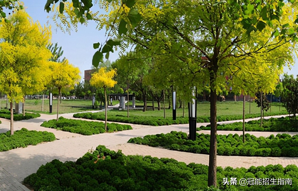 成都2021技术学校排名-成绩不好的初中生适合读什么学校？