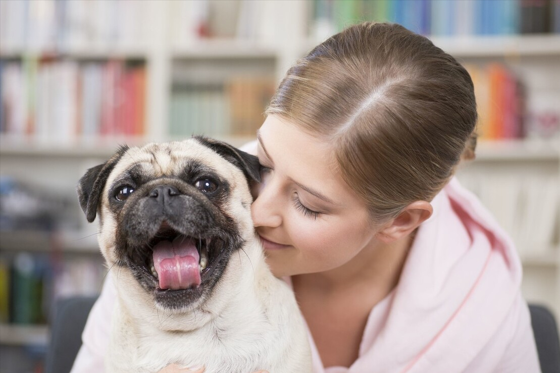 常见的中、小型宠物犬，大概多少钱一只？