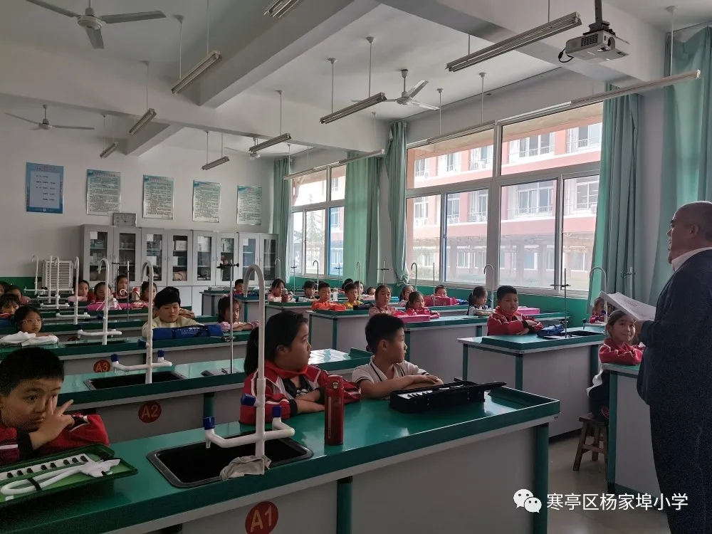 寒亭区杨家埠小学社团活动纪实(图9)