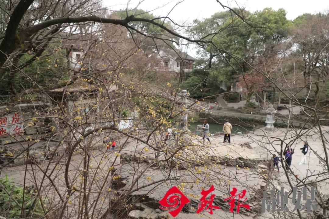 假期余额不足，苏州还有这十处美景值得打卡