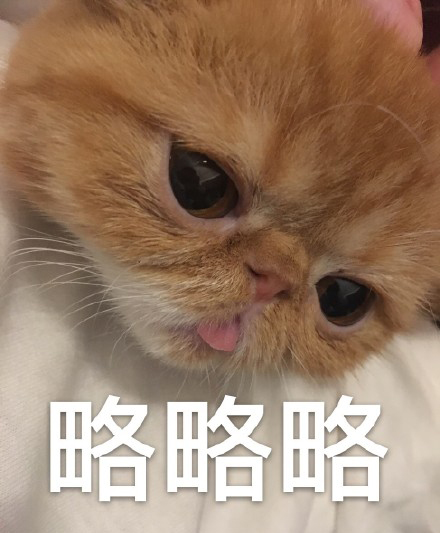 猫咪表情包合集｜不要逼我亮出武器