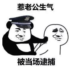 熊猫头警察系列表情包｜对不起，我是警察