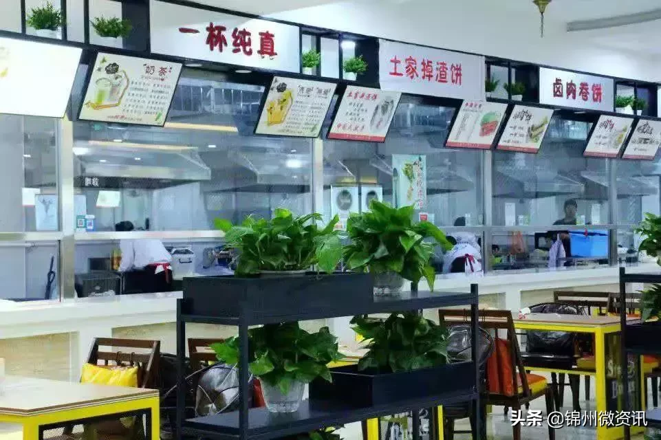 锦州渤海大学！全国最美大学之一！新入学的同学想知道的都在这里