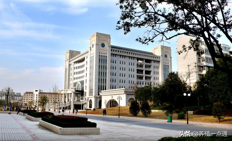 殷宗俊，安徽农业大学动物科技学院教授、博导，动物遗传育种专家