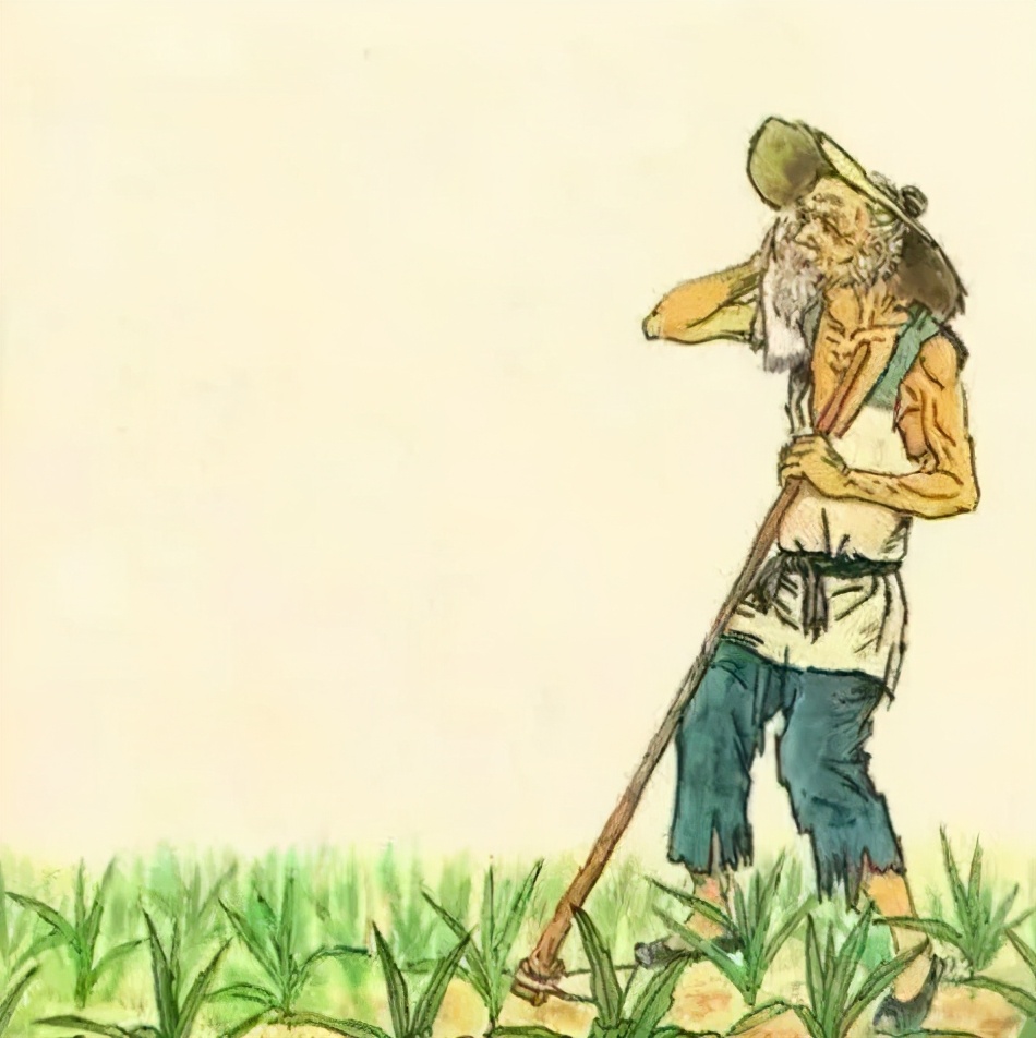 《悯农》意境"锄禾日当午,汗滴禾下土.