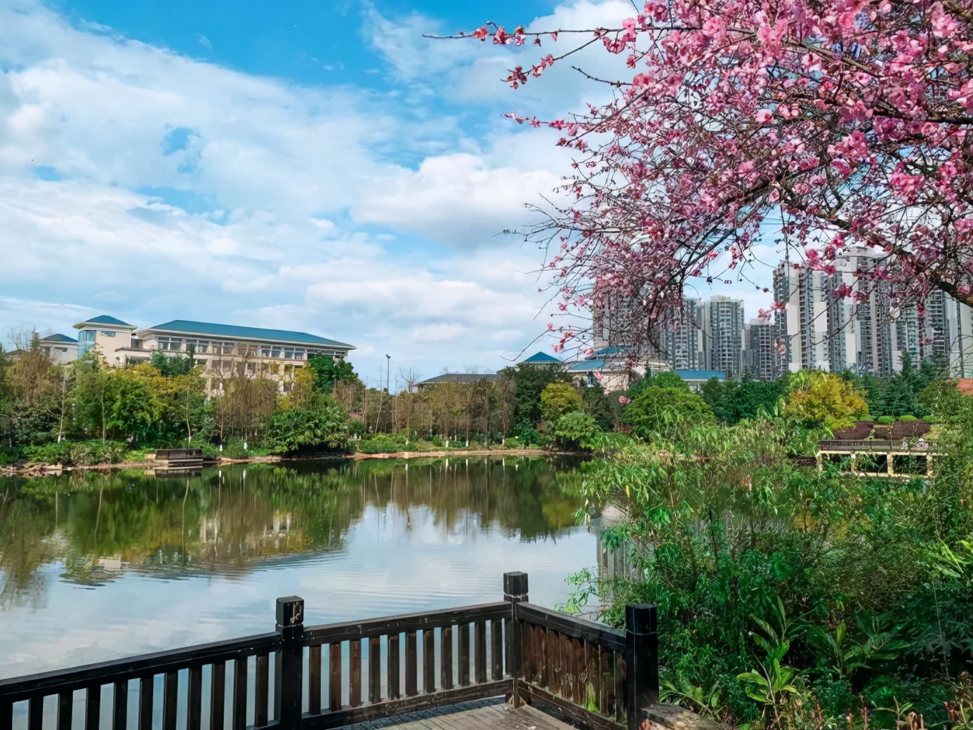 正式签约！重庆这所高校携手名企，将培养这类人才！