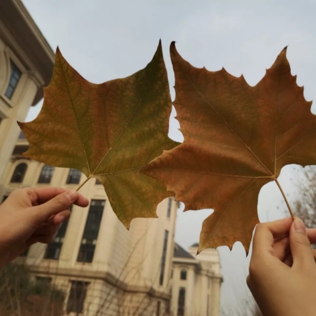 优微推荐丨农大到底有多大？