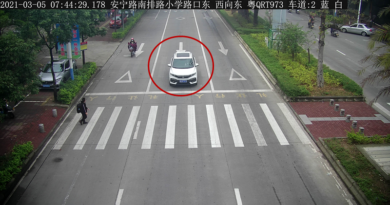 交通违法曝光！