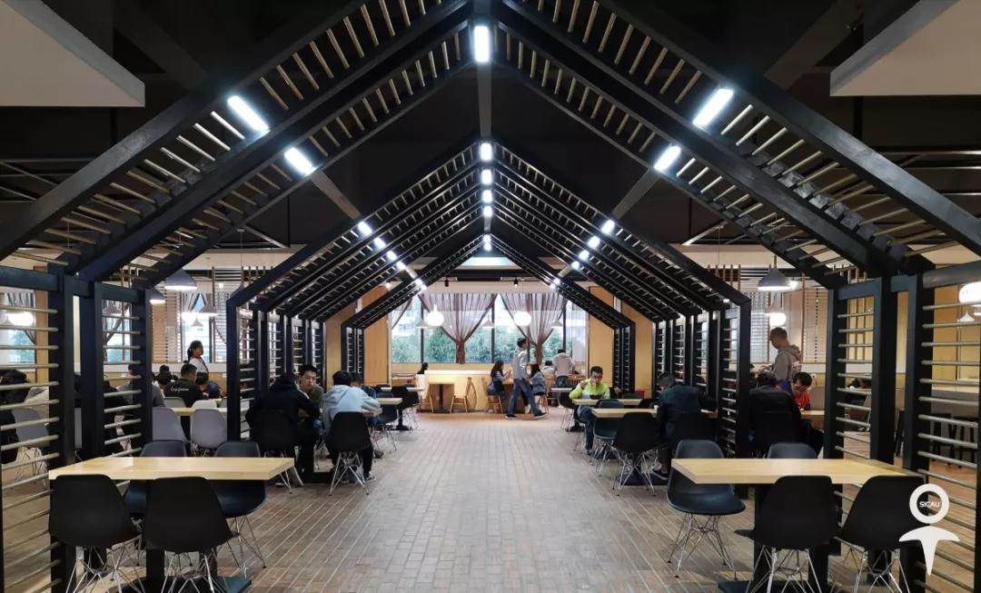 经常上热搜？揭秘四川这所高校的