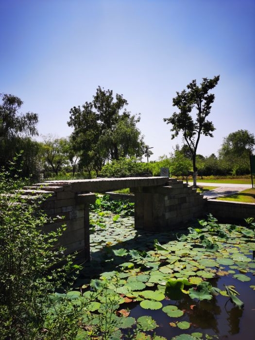 蓮池湖公園