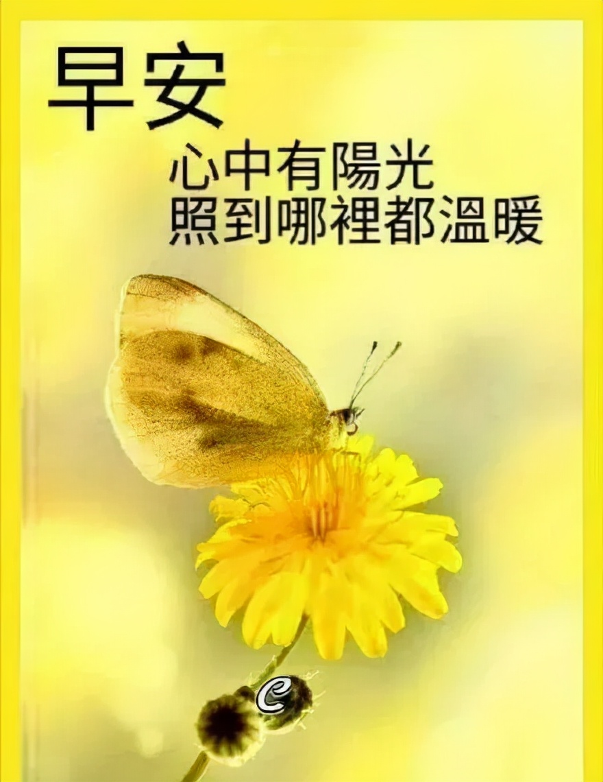 淡淡的阳光淡淡的心情的句子_晶羽科技