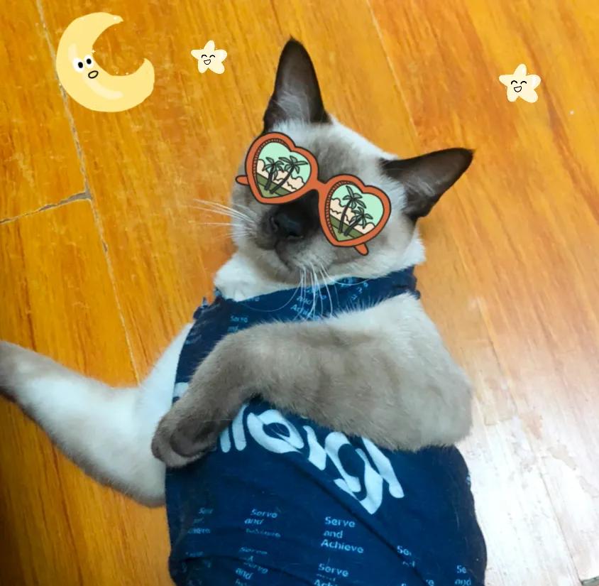 夜深人静时，独享片刻宁静，自娱自乐亦是美好。