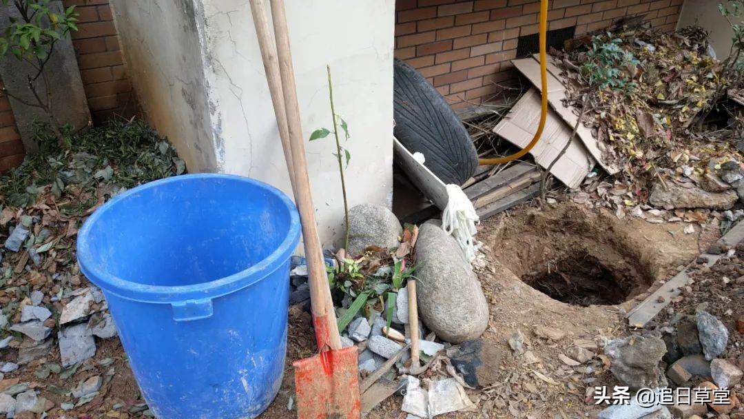 武汉都市菜园DIY回忆录之三樱花潭与浴盆鱼缸