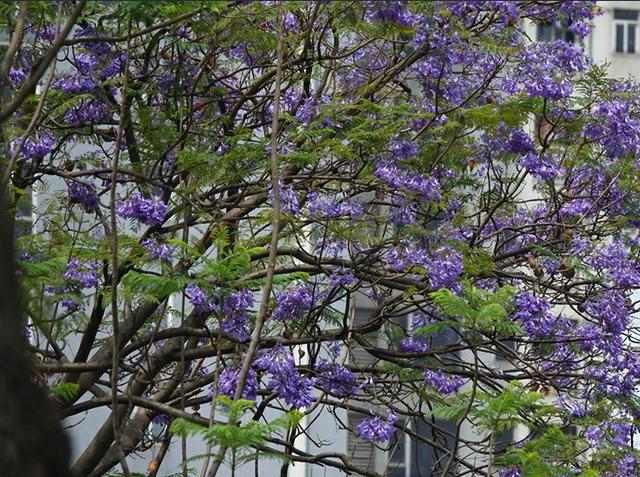 暨南大学2016-2018年高考录取分数统计