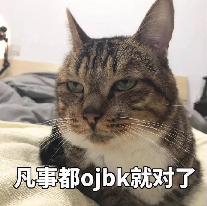 猫咪表情包OK系列：我觉得OK