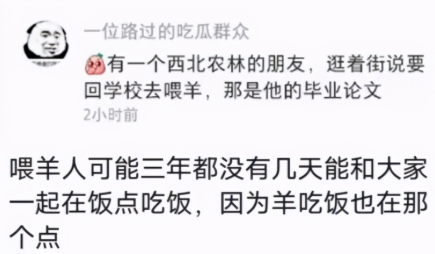 农学生挂科理由有多奇葩？西瓜被偷不算啥，油菜花被吹折太好笑了