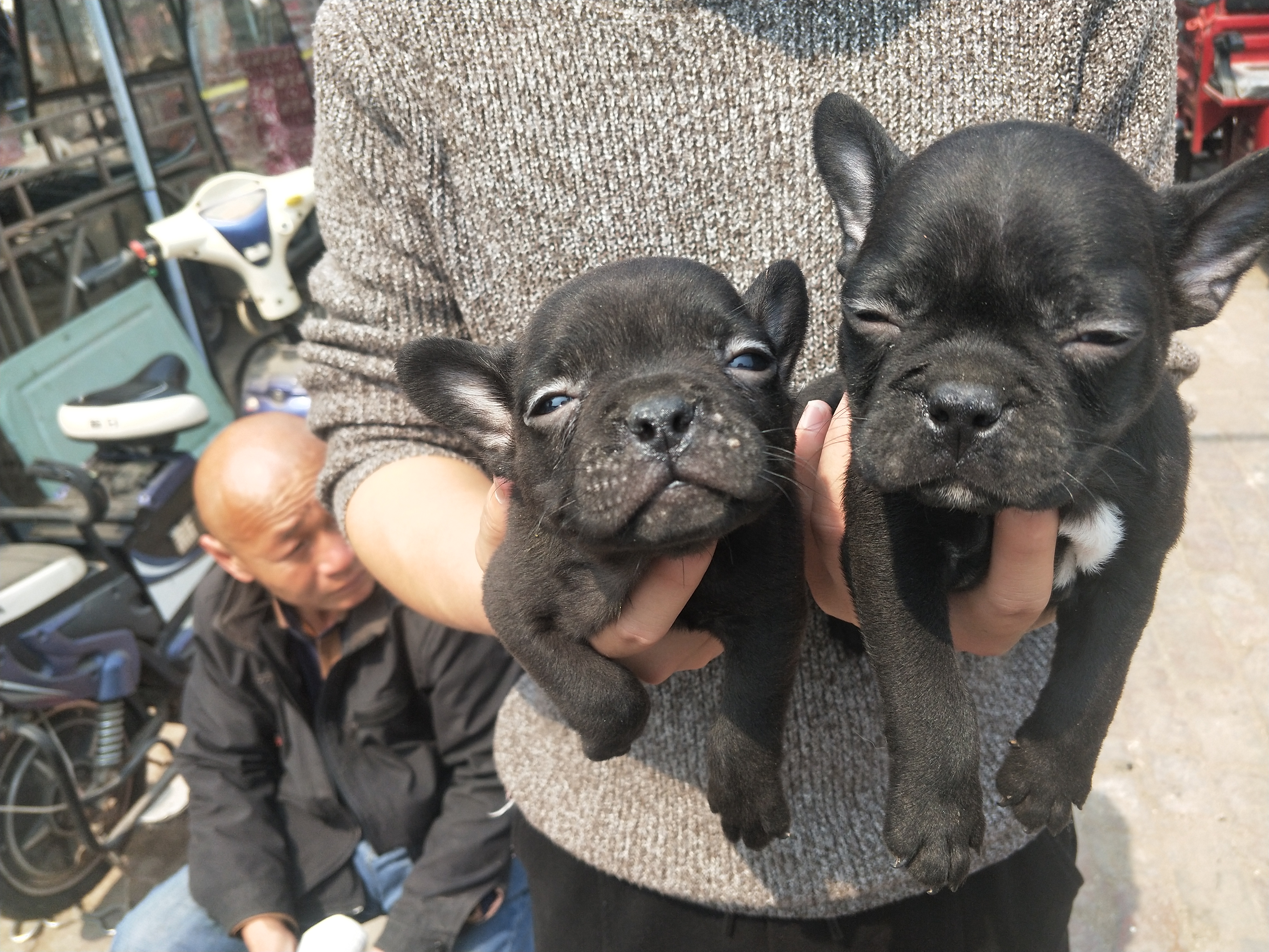 开封狗市!) - 114货源网