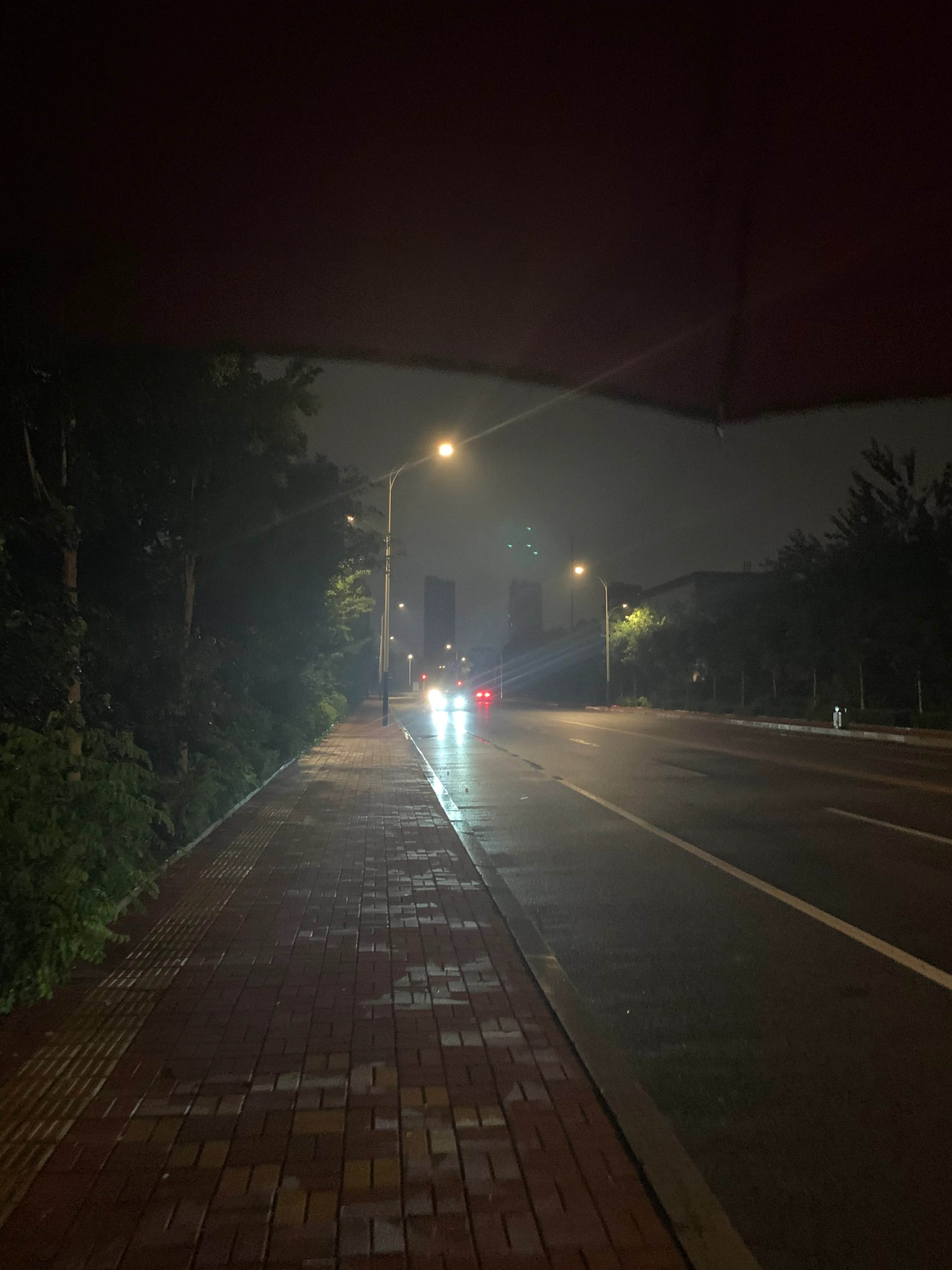 【随笔】雨后漫步