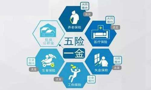哪些企业有三金五险？三金五险的缴费比例是多少？