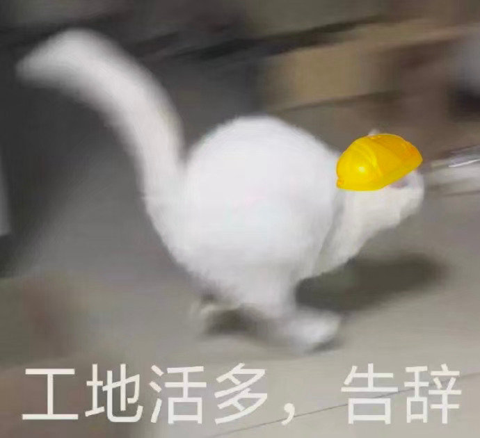 表情包：生活不易，猪猪自闭