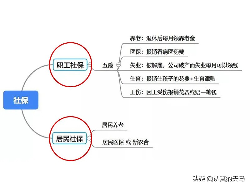 一次说清社保有什么用？
