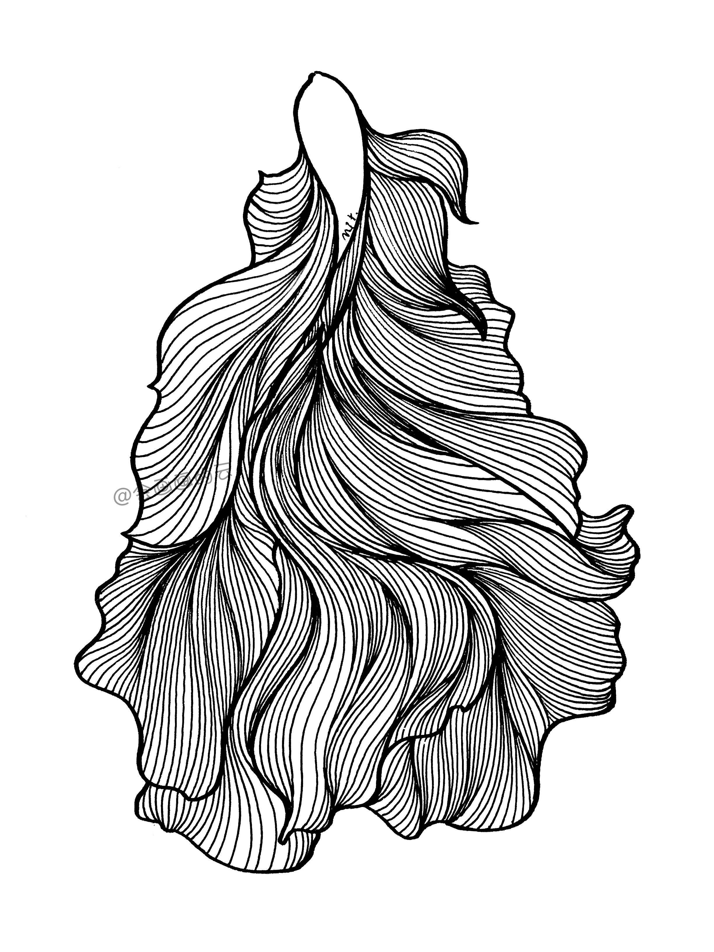 3款简笔画金鱼，零基础也可以画的线描画
