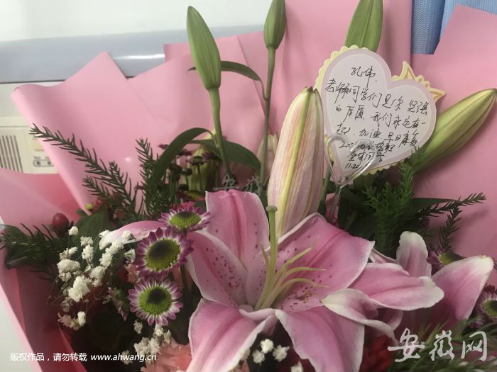 合肥一年轻女教师抗癌12年从未提病痛 2天募集40余万善款