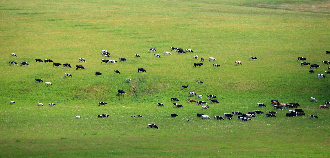 养殖场拆迁律师（养殖场遇征收注意这三种情形）