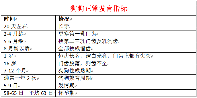 狗狗感冒，不能乱喂药，对症下药好得快