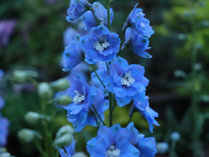 诗歌鉴赏常见的11种语言风格