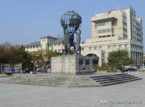 中国农大，荷兰农大，美国农大，日本农大，谁是世界第一农大