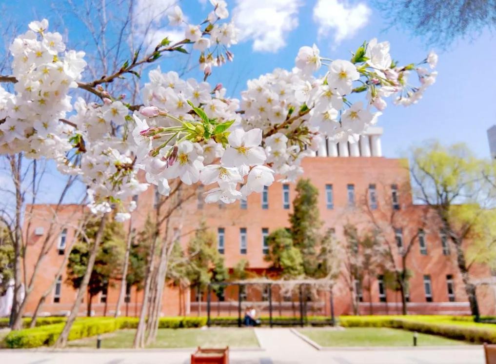 北京发展“最快”的大学之一！建校于寺庙，2个学科全国第一！