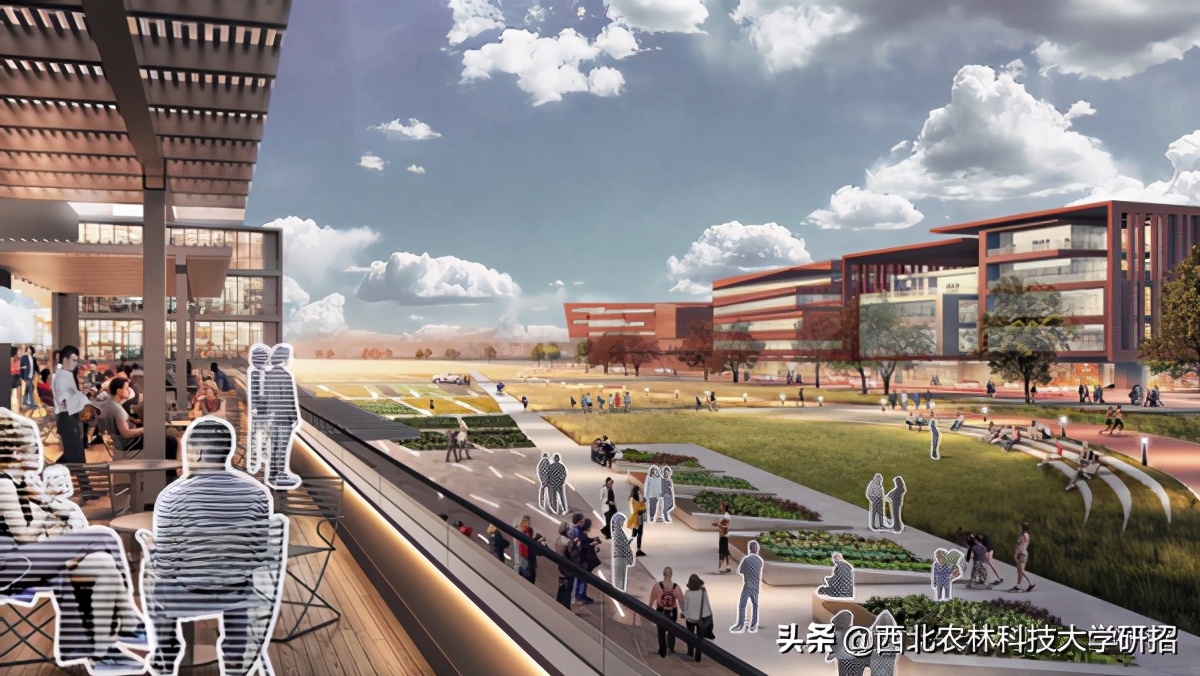 院士云集！陕西这所高校一项研究为国家挽回损失超22亿