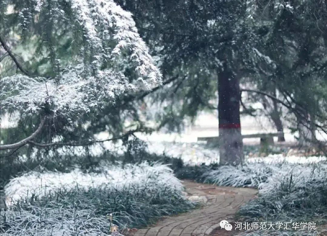 河北师范大学汇华学院怎么样?学校好不好(图6)