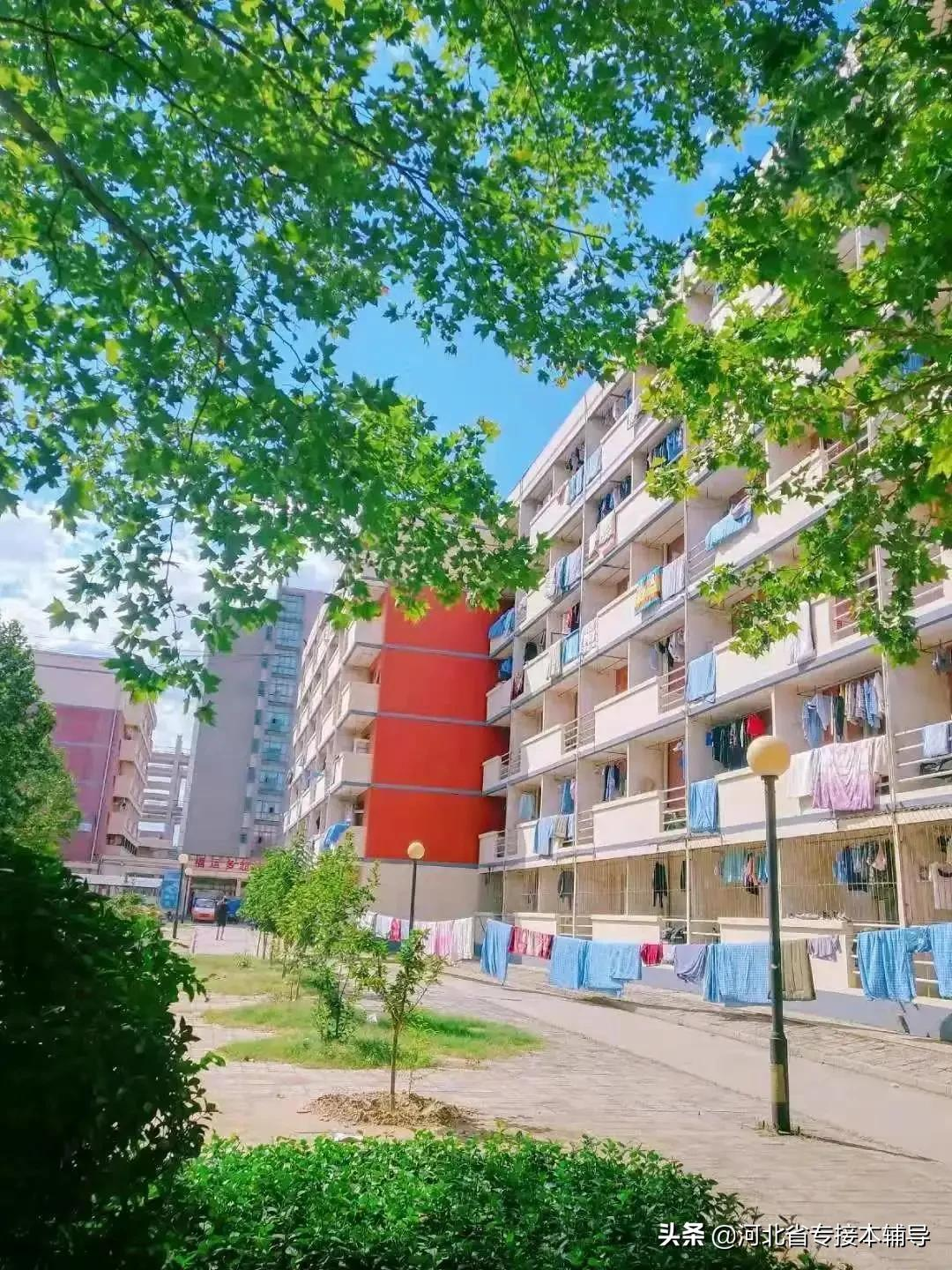 唐山师范学院：仅5个专业在招收，急剧减少的招生量