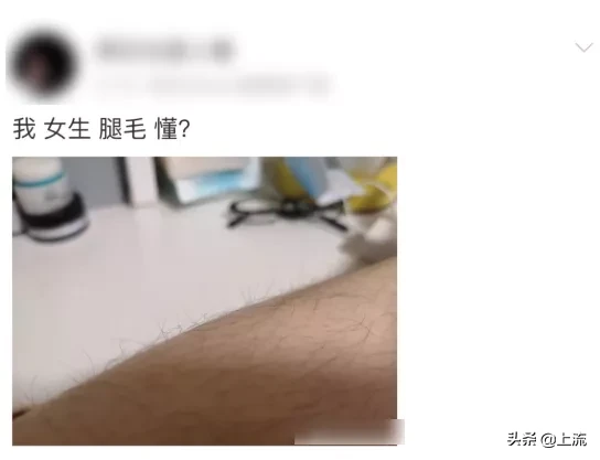 关于女孩的腿毛(女孩子的腿毛)