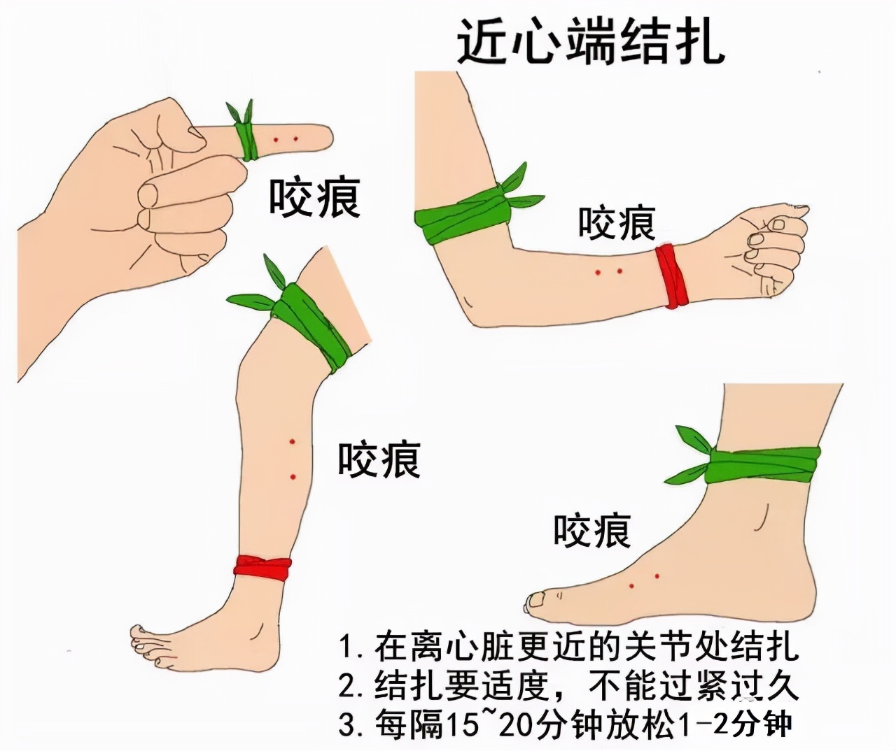 云南女子准备睡觉,突然发现一条眼镜王蛇在被窝!究竟怎么进来的