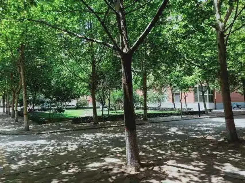 接本院校｜河北工程技术学院：超多招生，等你选择