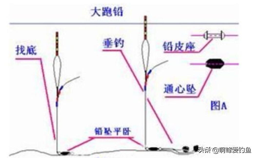 唯一一种鱼没牙齿贵的鱼，青鱼的“无奈”，四大家鱼中最难的一位