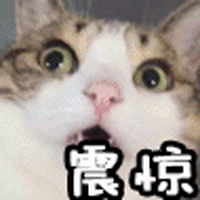 杭州都有什么大学（杭州6大潜力学校扎堆片区）