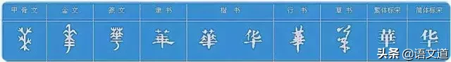 看到这些汉字，我感觉自己的语文白学了