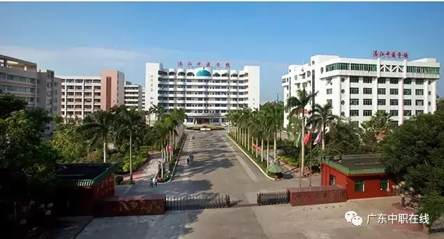 广东16家重点职业院校线上联合招生,需要的同学收藏一下