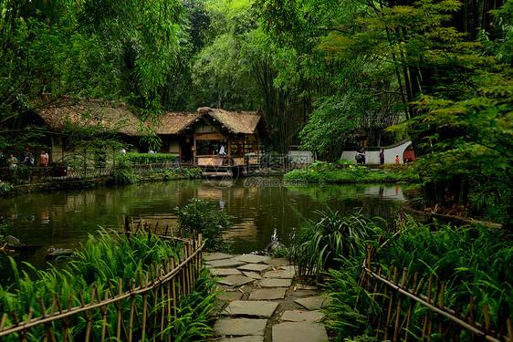 秋食栗子粒粒香，又是一年“一林过雨芦花白，半壁疏云栗子黄”