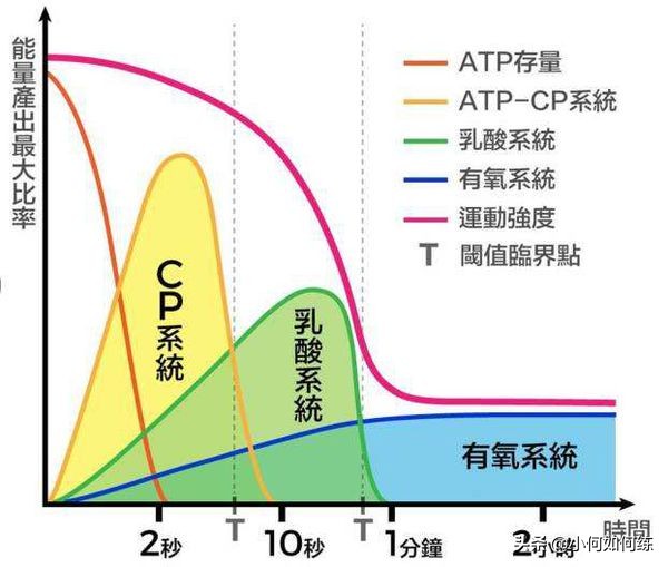 先撸铁还是先跑步,搞懂有氧供能和无氧供能的区别,健身更有效率