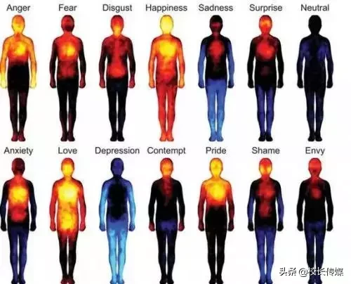 脑科学研究:你永远想不到运动能让大脑变得多么强大