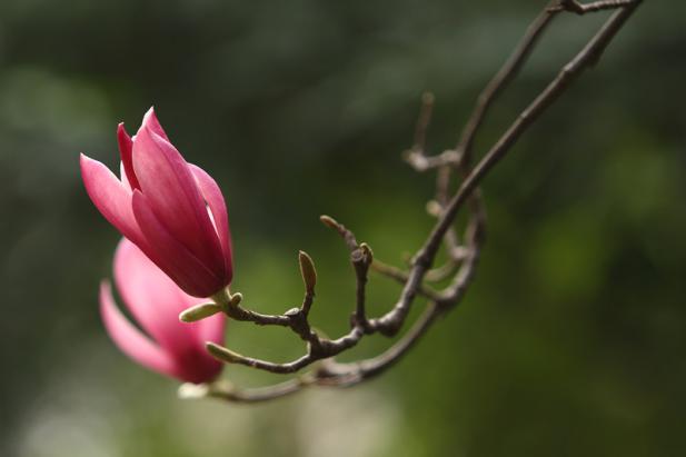 提前曝光！重庆